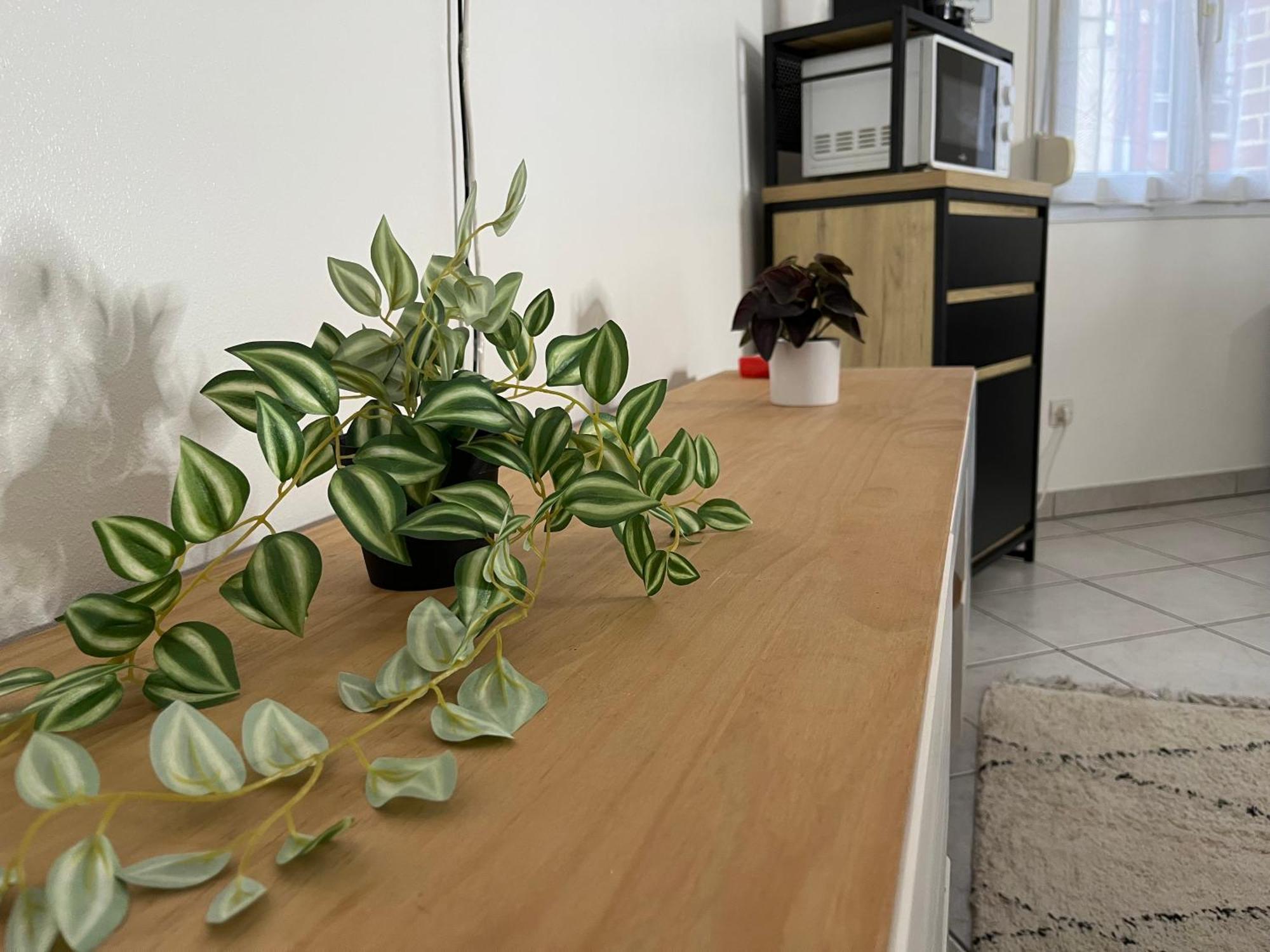 Apartment Le Roch - T3 Cosy & Spacieux Amiens